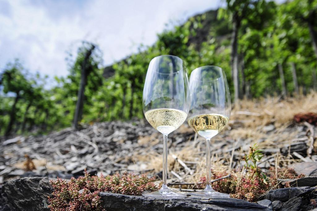 Haus Alte Rebe & Weisse Traube Apartman Cochem Kültér fotó