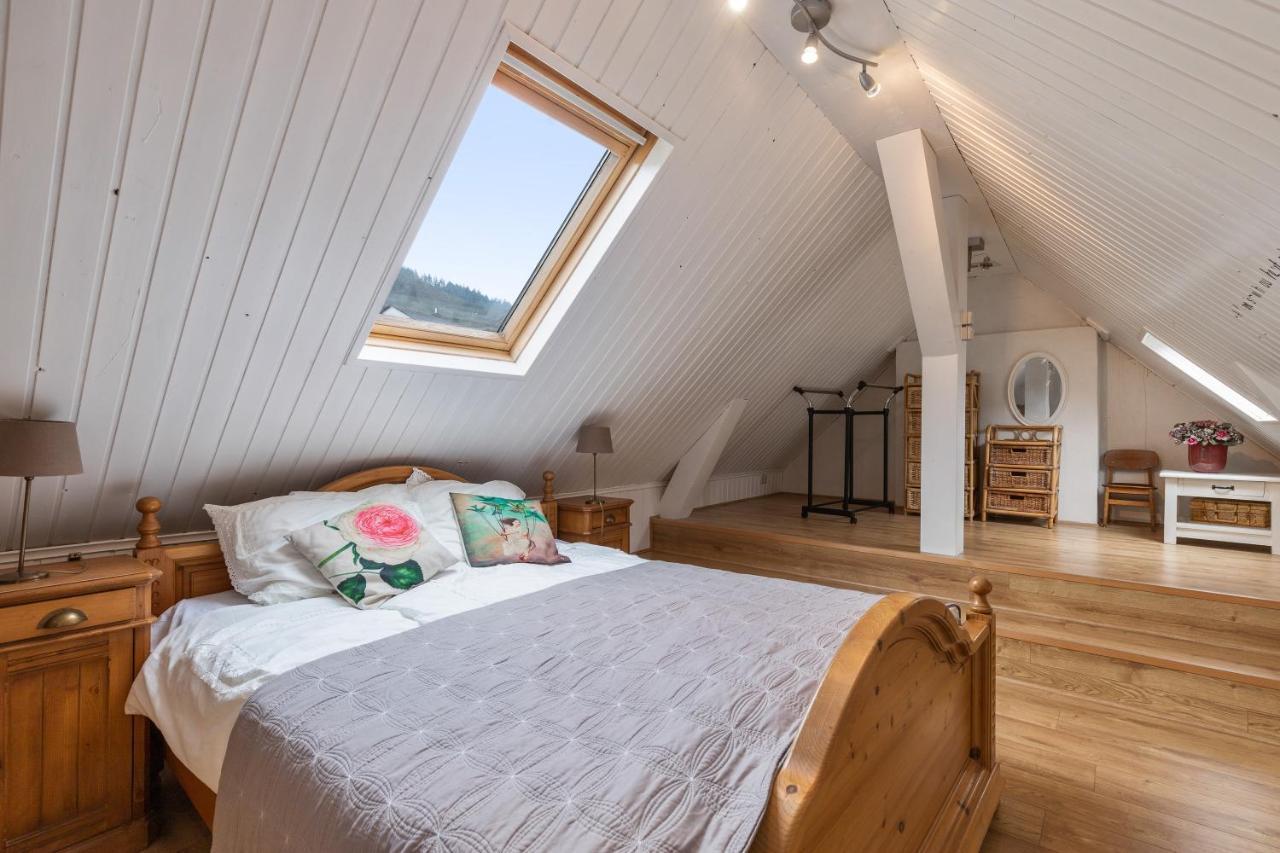 Haus Alte Rebe & Weisse Traube Apartman Cochem Kültér fotó
